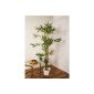 Bamboo shrub, tree art, art plant, bamboo tree - 160cm