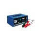 Einhell BT-BC 22 E Battery charger, 12V charging voltage, lead batteries from min.  5 Ah - max.  300 Ah, Built-in ammeter, charging electronics (Automotive)