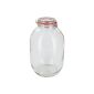 Rösler + Wagner Jar wire hanger Glass Storage Jar Glass jar with swing top (5 liters) (household goods)