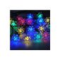 InnooTech 80 LED Solar String Lights Colorful outdoor Lutosblumen Party garden balcony 8 Type + Double Solar Panels 12 meters