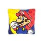 Pillow 'Mario Kart' (Kitchen)