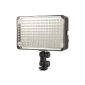Amaran apature lamp panel of the brand AL-198C LED Video filming with video camera / camcorder 5600K 3200K for Canon Nikon with adjustable color temperature LF171 (Electronics)