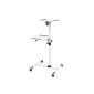 Beamer trolley Beamer trolley laptop table notebook table adjustable and inclinable, very stable and easy, Silver (Electronics)