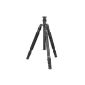 SIRUI N-3004X Master Three / monopod (aluminum, height: 175cm, weight: 2,33kg, load capacity: 18kg) with bag and strap (accessories)