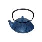 Beka 16409144 Teapot cast iron blue color with all hobs + induction screen (Kitchen)