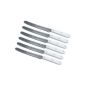 Table knife table knives 6 x Vesper knives POM pointed /// with wavemeters Solingen handles POM triple riveted, White (Kitchen)