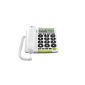 Corded Phone Doro PhoneEasy 312cs White (Electronics)