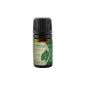 Clove - 100% pure essential oil - 10ml (Health and Beauty)
