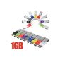 1G 1GB 1GB USB key Key Storage Flash Memory Disk Drive 2.0 Design Color to choice (Electronics)