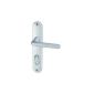 DT 2000 CF708840 door handle on plate aluminum Tignes Silver condemnation 165 (Tools & Accessories)