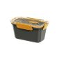 EMSA 513,955 Frischhaltedose bento box lunch box, square, 0.90 liter, Grey / Orange (freeze suitable, dishwasher safe, microwave suitable) (household goods)