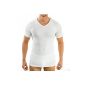 4880 men's short sleeve shirt with V-neck by exclusive HERMKO, Business undershirt made of 100% cotton in 6 colors (Textiles)