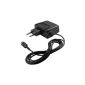 Charger for Nintendo DS Lite (Electronics)