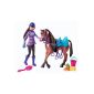 Mattel Barbie Y7563 - Barbie and her sisters Skipper horse luck, doll horse (Toys)