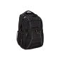 AmazonBasics AB 103 Laptop Backpack (Electronics)