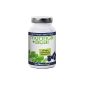 Moringa oleifera capsules 480mg 80mg incl Acai, 80 grams more, 120 Capsules - incl free e-book:. (Health and Beauty).