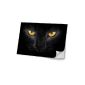 Cats 10034, Black Cat, Skin Stickers Foil Laptop Vinyl Decal Design foil with leather effect laminate and colorful design for 17 