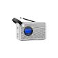 Auna Rutherford - Compact portable radio with FM tuner, USB port and AUX input (removable battery, bassreflex) - White (Electronics)