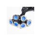 Set of 6 Blue LED Lamps Spots Inox for Terrace with Solar Panel for Lights4fun (Miscellaneous)