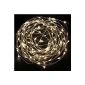 Foxnovo Waterproof LED String lights up 33ft 10M 100-LED with a EU-12V1 DC Plug the adapter sector (warm white light)