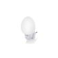 Ansmann 5170013 Nightlight NL-2, special lamp decorative lamp LED light, white (household goods)