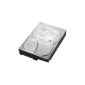 Toshiba 3.5 '' (8.9 cm) SATA Hard Drive HDD Retail Kit Hard Drive 2TB SATA III 32MB buffer (Accessories)