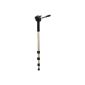 Hama Easy entry monopod with 3-way head, Star 78 Mono 176 -3D, Champagne (Accessories)