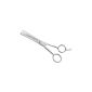 Thinning with unilateral teeth 6 inch - 17 cm stainless steel (Personal Care)