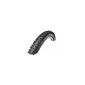 Schwalbe MTB tires Nobby Nic 2:40 inch Snake Skin Evolution folding (household goods)