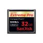 SanDisk Extreme Pro CompactFlash 32GB Memory Card (Personal Computers)