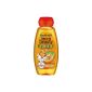Garnier Natural Beauty Kids Shampoo Apricot, 300 ml (Personal Care)