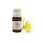EOBBD Essential Oil of Ylang Ylang 10ML (Cananga odorata) (Health and Beauty)