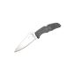 Spyderco Endura Flat Ground / C10FPBN Pocket Knife (Sports)