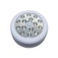 Am-Tech 15 LED Motion Sensor Light S1543 (garden products)