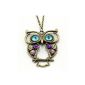 Retro necklace chain with Owl Pendant with blue eyes Long Retro Vintage Necklace (jewelry)
