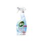 VISS GLASS & surfaces 750ML (Personal Care)