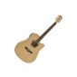 Electro Acoustic Dreadnought Guitar Deluxe body Maple speckled