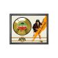 ACDC High Voltage Framed Gold Record Gold Display