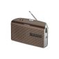 Grundig Music 60, receiving strong radio in modern design, brown / silver (Electronics)