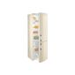 Gorenje RK61821C cooling-freezer / A ++ / refrigerator compartment: 230 L / freezer: 92 L / cream / Cool`n`fresh drawer / interior lighting / Eco Top Ten (Misc.)