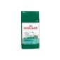 Royal Canin Mini Junior - from 2-10 months ago - 3 kg - Dog Food (Target)