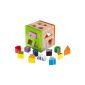 Eichhorn 100002224 - Wooden Steckbox colorful, plug-cube included 14 stones, 14,5x14,5x15 cm (toys)