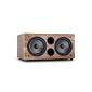 Auna Linie 501 SW - Active subwoofer 250W RMS for home theater use, hi - frontfire wooden frame, 2-way technology, 2 x subwoofer 8 