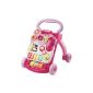 VTech Baby 80-077054 - game and carriage, pink (Baby Product)