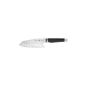 De Buyer 4280.15 'FK2' Chef's knife Asian - handle with counterweight - L. 15 cm (Kitchen)