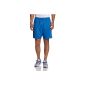 Nike shorts with inner slip Park Knit (Sports Apparel)
