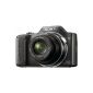Sony DSC-H20 Digital Camera (10 Megapixel, 10x opt. Zoom, 7.6 cm (3 inch) display, image stabilizer) (Electronics)