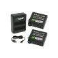 Wasabi Power Battery (2-Pack) and Dual Charger for GoPro GoPro HERO4 and AHDBT-401 AHBBP-401 (Electronics)