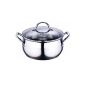Induction Stainless Steel Stockpot 5.2 liters (cooking pot with glass lid 24 cm x 11,5 cm, for all conventional stove types) (household goods)