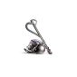 DC33c Dyson Bagless vacuum cleaner with anti-node device, dual position brush, mini-brush turbine and Technology 1300 W Ball Special hard floors (kitchen)